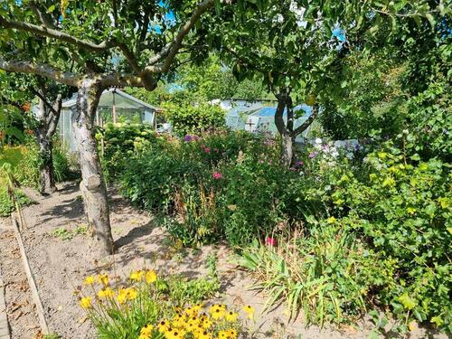 Foto - Grundst&uuml;ck zur Miete in Rostock