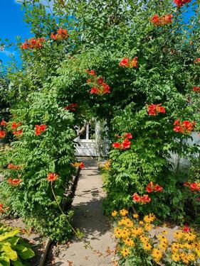 Foto - Grundst&uuml;ck in Rostock zur Miete