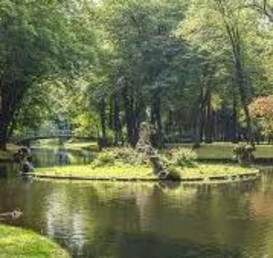 Foto - 2 Zimmer Hochparterre in Bayreuth