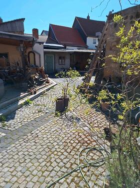 Foto - Bauernhaus, Landhaus in Halberstadt zum Kaufen