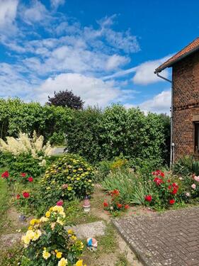 Foto - Etagenwohnung in Preußisch Oldendorf zur Miete