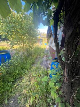 Foto - Grundstück zur Miete in Flintbek