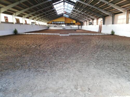 Foto - Wohnen mit Pferden am Wald, eigene Pferde können mitgebracht werd