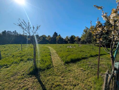 Foto - 750m2 Wiese zu verpachten - 80,00&nbsp;EUR Kaltmiete, ca.&nbsp; 0,00&nbsp;m&sup2;