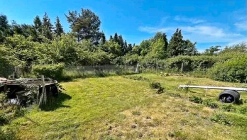 Foto - Einfamilienhaus in Erxleben zum Kaufen