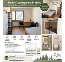 möbiliertes 1-Zimmer-Appartement in Mainz -zentral-sofort frei