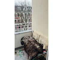 36qm Wohnung Unfermiete - 795,00&nbsp;EUR Kaltmiete, ca.&nbsp; 36,00&nbsp;m&sup2; in Berlin (PLZ: 12161) Tempelhof-Schöneberg