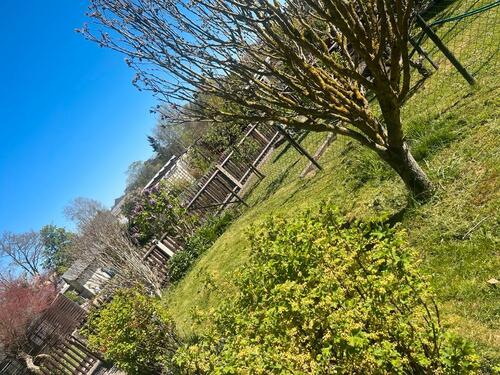 Foto - Grundst&uuml;ck in Limbach-Oberfrohna