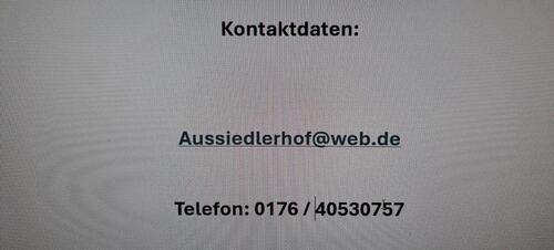Foto - 