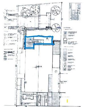 Foto - 3 Zimmer Erdgeschoßwohnung zur Miete in Mörfelden-Walldorf