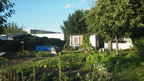 Foto - Kleingarten - 100,00 EUR Kaltmiete, ca.  0,00 m²