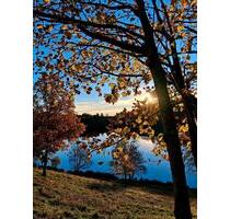 Landhaus Vulkaneifel bis 12 Personen November noch frei - Düren