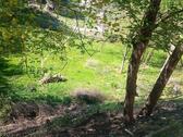 Foto - Grundst&uuml;ck zur Miete in Arnsdorf