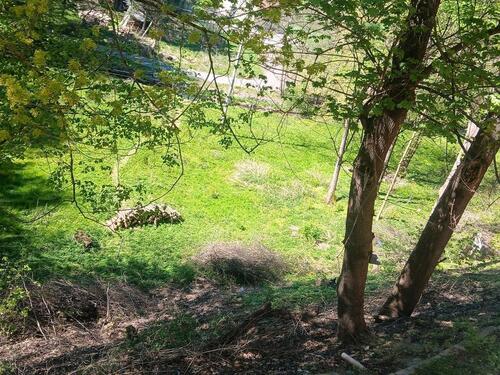 Foto - Grundst&uuml;ck zur Miete in Arnsdorf