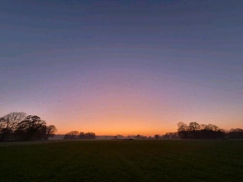 Foto - Zimmer in LandWG in Halle Hörste ab April frei