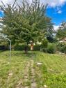 Foto - Garten in Schwedt 440 qm. Super gelegen. 2 Nachbarn!