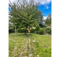 Garten in Schwedt 440 qm. Super gelegen. 2 Nachbarn! - Schwedt (Oder)
