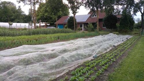 Foto - 3 Zimmer Etagenwohnung in Dülmen