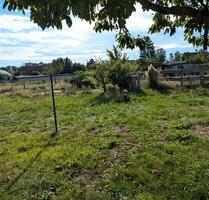 3 Einzel Zimmer Sofort Verfügbar - Berlin Lichtenberg