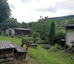 Foto - Grundstück zur Miete in Suhl