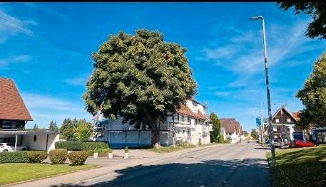 Foto - attraktive Wertanlage. Vermietete 4-Zimmer-Wohnung