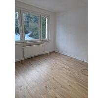 Renovierte 2-Zimmer-Wohnung in Wippra zu vermieten - Sangerhausen