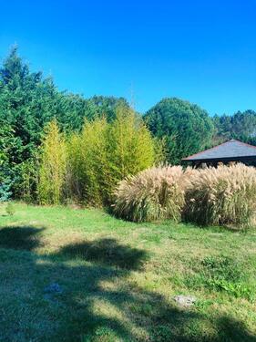 Foto - andere in Hannover zur Miete