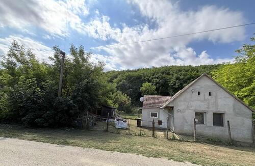 Foto - 3 Zimmer Einfamilienhaus zum Kaufen in Triberg im Schwarzwald