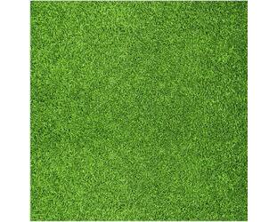 Außenstellplatz - 20,00&nbsp;EUR Miete, in Neuruppin (PLZ: 16816)