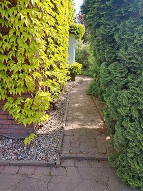 Foto - 7 Zimmer Einfamilienhaus in Plate