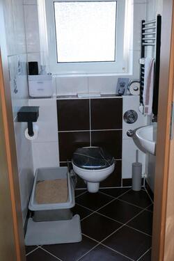 Foto - Hochparterre in Hameln zum Kaufen