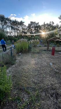 Foto - Grundst&uuml;ck in Calau