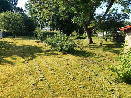 Foto - 3 Zimmer Doppelhaushälfte zum Kaufen in Grimma