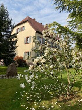 Foto - Historisches Kleinod im Spessart