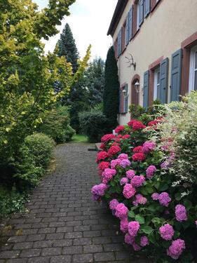 Foto - 14 Zimmer Einfamilienhaus zum Kaufen in Bischbrunn