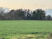 Foto - Grundst&uuml;ck in Hambergen zur Miete