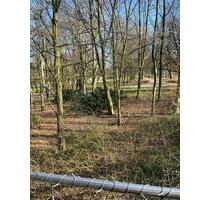 Wohnung gelsenkirchen buer - 650,00&nbsp;EUR Kaltmiete, ca.&nbsp; 72,00&nbsp;m&sup2; in Gelsenkirchen (PLZ: 45897) Gelsenkirchen-Nord