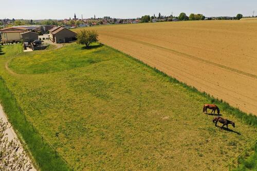 Foto - Modernisierter Aussiedlerhof mit Pferdestall, Wiese und Werkstatt