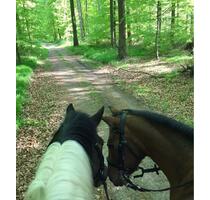 Schöner Wohnen auf dem Resthof – 3-Zimmer-Wohnung im OG (ca. 65 m - Diesdorf