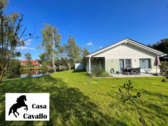 Foto - Ferienhaus-Oase am See (Sauna & Boot) 1-6 P. Osterferien -Emsland-Familien, Senioren - Natur, Auszeit, Rad fahren, Reiten, Ponyhof, Wellness, mit Hund