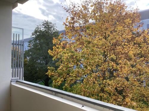 Foto - Etagenwohnung in Leipzig zur Miete