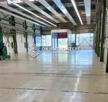 Lager- und Produktionshalle mit ca. 875 m² – ausgestattet mit Rolltor und separater Schleuse - Geisingen