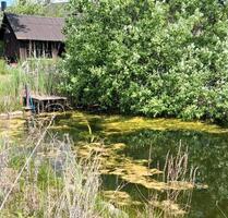 Einfamilienhaus mit großem Garten und Teich in Oberspeltach - Frankenhardt