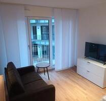 Vollmöbliertes stylishes 1-Zimmer-Appartement, am Nürnberger Stadtpark