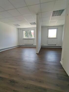 Foto - andere in Heideland