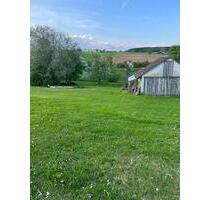 Grünland zum verpachten - 300,00 EUR Kaltmiete, ca.  0,00 m² in Eigeltingen (PLZ: 78253)