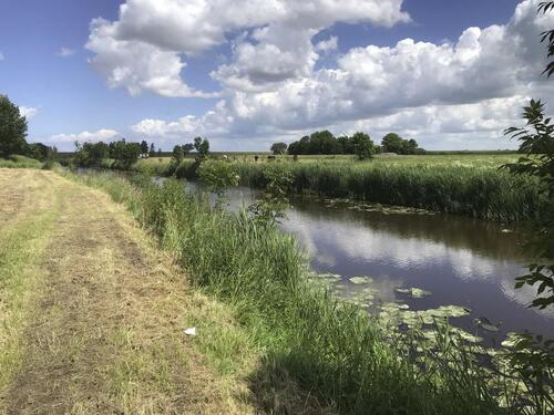 Foto - Ferienanlage Haus am Siel privat ab 35,00 Euro auch mit Hund