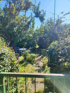 Foto - Schrebergarten - 2.000,00 EUR Kaltmiete, ca.  0,00 m²