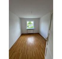 Frisch renoviert 2-Raum Wohnung Großes Bad, Garten, Ruhig - Weißenfels