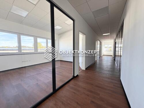 Foto - andere in Tuningen